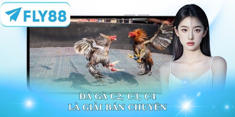 Đá gà C2, C3, C4 là giải bán chuyên